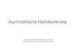 Asymmetrische Hydroborierung Vortrag von Daniel Meidlinger und Lisa Karmann im Rahmen der Vorlesung OC6