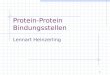 1 Protein-Protein Bindungsstellen Lennart Heinzerling