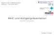 MHC und Antigenpräsentation Kristin Fritsch Mastermodul IMMUNOLOGIE Erlangen – November 2010 Überblick Immunsystem