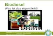 Team Biodiesel : Judith Kämmerling, Vanessa Lohrmann, Hans Christian Ohm, Katrin Rahmlow, Victoria Schrader, Johannes Völker ( Goethe-Gymnasium ) Tutor