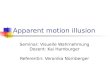 Apparent motion illusion Seminar: Visuelle Wahrnehmung Dozent: Kai Hamburger Referentin: Veronika Nürnberger