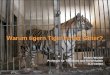 Stereotypien Warum tigern Tiger hinter Gitter? Hanno Würbel Professor für Tierschutz und Tierverhalten JLU Gießen
