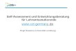 Self-Assessment und Entwicklungsberatung für Lehramtsstudierende  Birgit Nieskens (Universität Lüneburg)