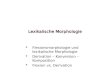 Lexikalische Morphologie Flexionsmorphologie und lexikalische Morphologie Derivation â€“ Konversion â€“ Komposition Flexion vs. Derivation