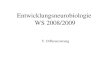 Entwicklungsneurobiologie WS 2008/2009 V. Differenzierung