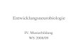 Entwicklungsneurobiologie IV. Musterbildung WS 2008/09