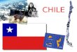 CHILE. Information 4.270 km lang 756.102,4 km² Nachbarländer: Peru, Bolivien, Argentinien Einwohner: 17 Millionen 15 Regionen Haupstadt: Santiago (mehr