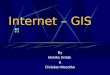 Internet – GIS By Monika Krolak & Christian Meschke