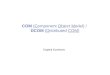 COM (Component Object Model) / DCOM (Distributed COM) Evgenij Kuznecov