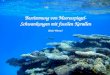 Bestimmung von Meeresspiegel- Schwankungen mit fossilen Korallen (Bodo Werner)