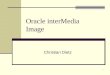 1 Oracle interMedia Image Christian Dietz. 2 Inhalt Allgemein LOB ORDImage Eigenschaften Beispiele