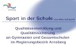 Sport in der Schule Qualitätsentwicklung und Qualitätssicherung an Gymnasien und Gesamtschulen im Regierungsbezirk Arnsberg von Elke Schlecht