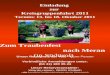 Einladung zur Kreisgruppenfahrt 2011 Termin: 13. bis 18. Oktober 2011 Zum Traubenfest nach Meran (in Südtirol) Unser Reisepreis ab: 460,-- pro Person Verbindliche