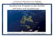 Geothermie Projekte in der Karibik mit Fokus auf Guadeloupe Tarik Djamai. Matrikelnummer 28250052 Lukas Machelett. Matrikelnummer 29207813 Universität