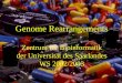 Genome Rearrangements Zentrum für Bioinformatik der Universität des Saarlandes WS 2002/2003