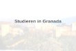Studieren in Granada. Anreise Flugzeug - Air Berlin - Hapag Lloyd Bahn -   (Deutsche Bahn)  -   (Spanische