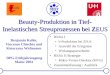 Beauty-Produktion in Tief- Inelastischen Streuprozessen bei Z EUS Benjamin Kahle, Vincenzo Chiochia und Katarzyna Wichmann DPG-Frühjahrstagung Mainz 2004