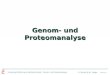 Vorlesung Einführung in die Bioinformatik - U. Scholz & M. Lange Folie #4-1 Genom- und Proteomanalyse