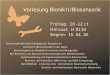 Ingo Rechenberg PowerPoint-Folien zur 8. Vorlesung Bionik II / Biosensorik Organisches Rechnen (Organic Computing) Struktur und Arbeitsweise neuronaler