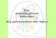 1 Der phänologische Kalender Die Jahreszeiten der Natur Zusammengestellt von Heinz Huber