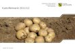 Kartoffelmarkt 2011/12 Stand: 07.02.2012. | 11.02.201 Maika Krauter2 Haupterzeugerländer: China, Russland, Indien, Ukraine, USA, Deutschland, Polen Schwergewicht