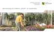 Beurteilung des Faktors Arbeit im Gartenbau. | 1. September 2010 | Claudia Zickert2 Beurteilungskriterien Anzahl der Arbeitsplätze Arbeitsbedingungen