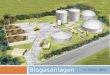Von Thomas Liebing Biogasanlagen. Einsatz von Biogasanlagen o Vorkommen Landwirtschaft Landwirtschaft Ernährungs-und Agrar-Industrie Ernährungs-und Agrar-Industrie