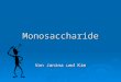 Monosaccharide Von Janina und Kim. Übersicht 1 Gemeinsame Eigenschaften 1 Gemeinsame Eigenschaften 1 Gemeinsame Eigenschaften 1 Gemeinsame Eigenschaften