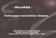 - MicroRNA - Vorhersagen menschlicher Zielgene Präsentation von Sophia Bardehle Seminar Genomics, Juni 2005 betreut durch Herrn Dr. Benedikt Brors, DKFZ