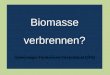 1 Biomasse verbrennen? Solarenergie-F¶rderverein Deutschland (SFV)