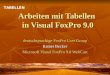 Arbeiten mit Tabellen in Visual FoxPro 9.0 deutschsprachige FoxPro User Group Rainer Becker Microsoft Visual FoxPro 9.0 WebCast TABELLEN