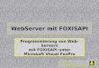 Wizards & Builders GmbH WebServer mit FOXISAPI Programmierung von Web-Servern mit FOXISAPI unter Microsoft Visual FoxPro