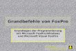Wizards & Builders GmbH Grundbefehle von FoxPro Grundlagen der Programmierung mit Microsoft FoxPro/Windows und Microsoft Visual FoxPro