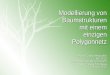 Modellierung von Baumstrukturen mit einem einzigen Polygonnetz Seminar Computergraphik WS 12/13 Dozent: Prof. Dr. Winfried Kurth Referentin: Vlada Pototskaia