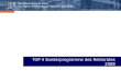 TOP 4 Sonderprogramme des Rektorates 2008. Rektoratsprogramme 2008 – Überblick – Sonderprogramme 2008 Investitionsplanung Forschungsförderung Drittmittelmittelprämie