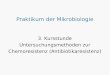 Praktikum der Mikrobiologie 3. Kursstunde Untersuchungsmethoden zur Chemoresistenz (Antibiotikaresistenz)