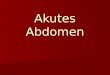 Akutes Abdomen. Definition Plötzlich oder sehr rasch einsetzende, starke schmerzhafte und in vielen Fällen lebensbedrohliche Erkrankung im Abdominalbereich