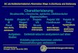 Universität Erlangen-Nürnberg DFG-Begutachtung Erlangen, 19./20. November 2001 SiC als Halbleitermaterial: Alternative Wege in Züchtung und Dotierung Charakterisierung