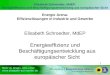 Elisabeth Schroedter, MdEP: Energieeffizienz und Beschäftigungsentwicklung aus europäischer Sicht 1 Energie Arena: Effizienzlösungen in Industrie und Gewerbe