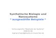 Synthetische Biologie und Nanosysteme * ausgewählte Beispiele * Vorlesungsreihe "Biophysik der Systeme" 2008-02-06 ingmarschoen@physik.uni-muenchen.de