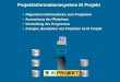 Projektinformationssystem IS Projekt Allgemeine Informationen zum Programm Auswertung der Pilotphase Vorstellung des Programms Anlegen, Bearbeiten von