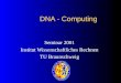 DNA - Computing Seminar 2001 Institut Wissenschaftliches Rechnen TU Braunschweig
