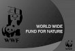 Gliederung 1. Was ist der WWF? 2. Geschichte und Entstehung 3. Aufbau 4. Ziele 5. Finanzierung 6. Kritik und Schwachpunkte