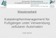 Masterarbeit Katastrophenmanagement für Fußgänger unter Verwendung zellularer Automaten Heiko Bessel