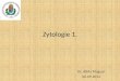 Zytologie 1. Dr. Attila Magyar 06.09.2013. Prüfungsstoff A: erster Kapitel des Liebich-Buches: Zytologie (ungefähr 40 Seiten) B: meine Zytologie-Diaserie