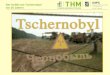Prof. Dr. J. Breckow Der Unfall von Tschernobyl vor 25 Jahren