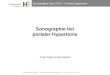 Sonographie Kurs 2013 – Portale Hypertonie Sonographie bei portaler Hypertonie Gian-Marco Semadeni