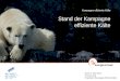 Zürich, 4. April 2013 Thomas Lang Projektleiter Kampagne effiziente Kälte Kampagne effiziente Kälte Stand der Kampagne effiziente Kälte