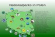 Nationalparks in Polen. 1. Babia-Gora-Nationalpark (Babiogórski Park Narodowy– 1954) ist in die Liste der Biosphären-Reservate der UNESCO eingetragen