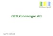 BEB Bioenergie AG . Der Vorstand der BEB Mag. (FH) Herbert Daberger Mehr als 10 Jahre im Anlagenbau im kaufmännischen Bereich tätig –VA TECH